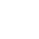 iver1x1