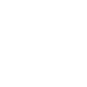 sylvan1x1