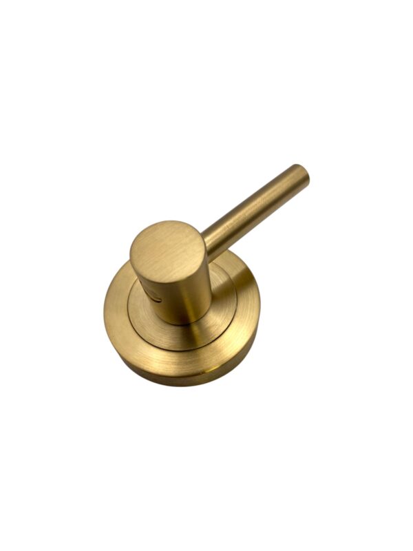 Novas Disabled Turnsnib Satin Antique Brass