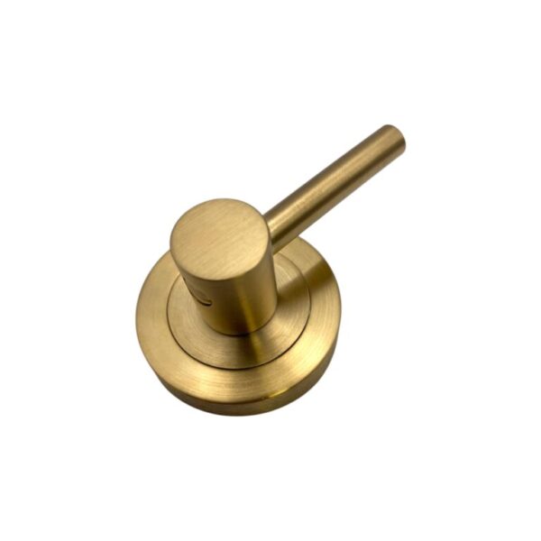 Novas Disabled Turnsnib Satin Antique Brass